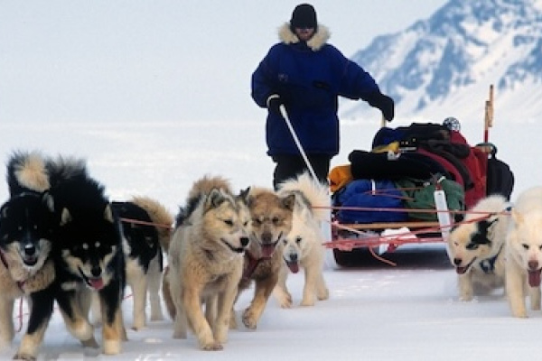 PECS Dogsled Greenland 2 Lonnie Dupre