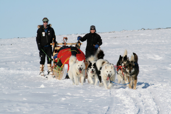 Pecs dogsled antarctica 9 will steger